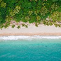 desktop-wallpaper-coast-palm-trees-ocean-water-beach-for-chromebook-pixel
